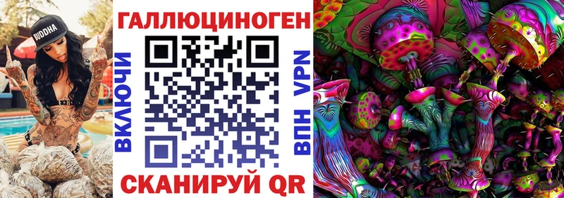 Галлюциногенные грибы Cubensis Южа