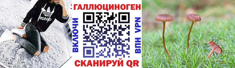 Псилоцибиновые грибы GOLDEN TEACHER Южа